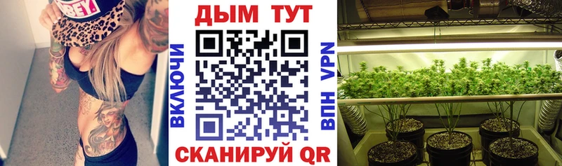 наркотики  Дюртюли  Конопля семена 